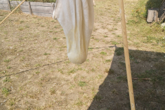 IMG_20190825_130924